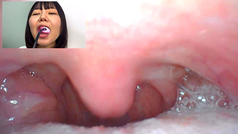 サンプル画像 14