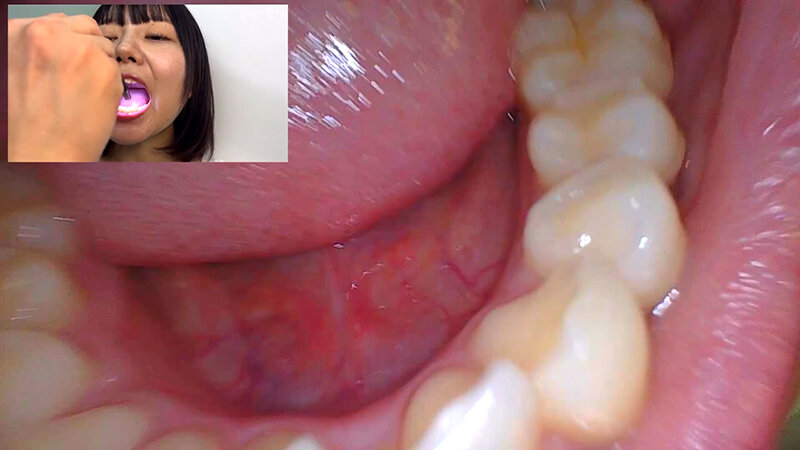 サンプル画像 15