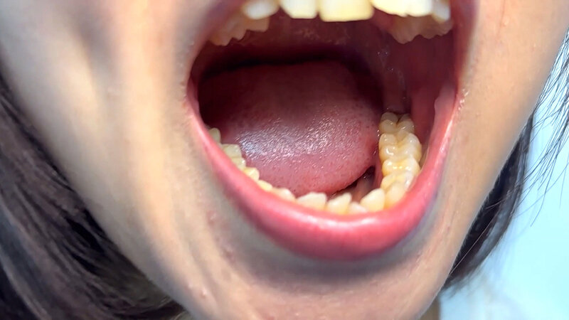 サンプル画像 6