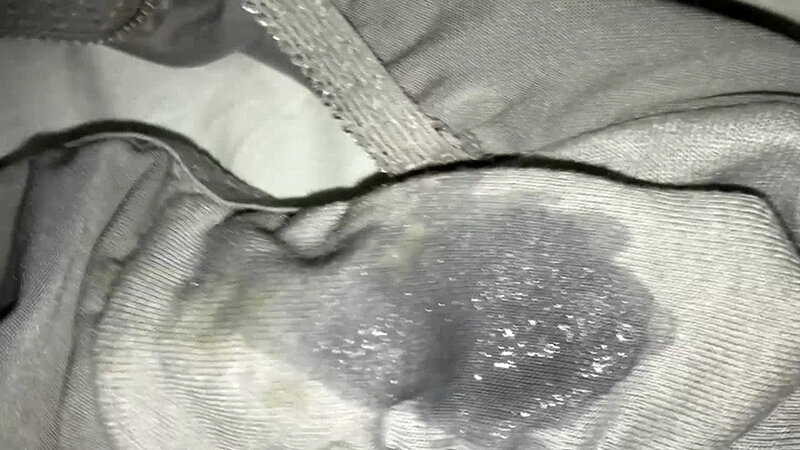 サンプル画像 14