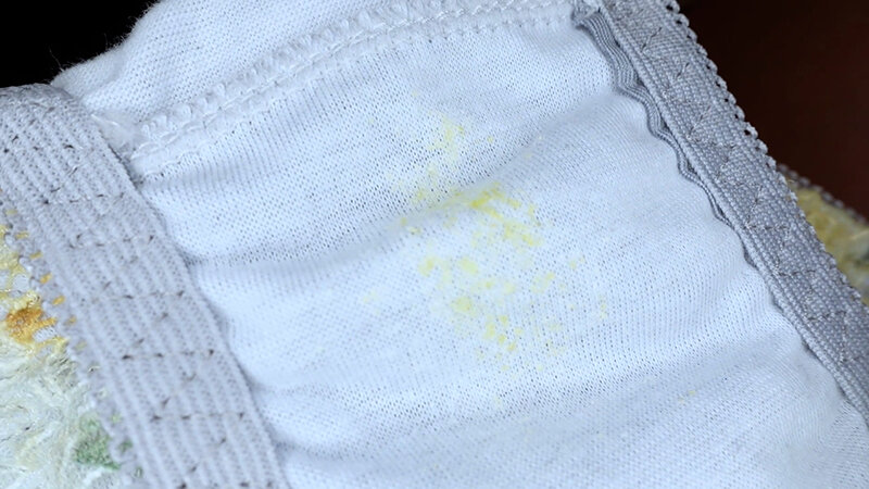 サンプル画像 4