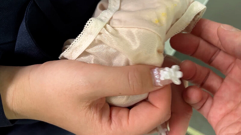 サンプル画像 16