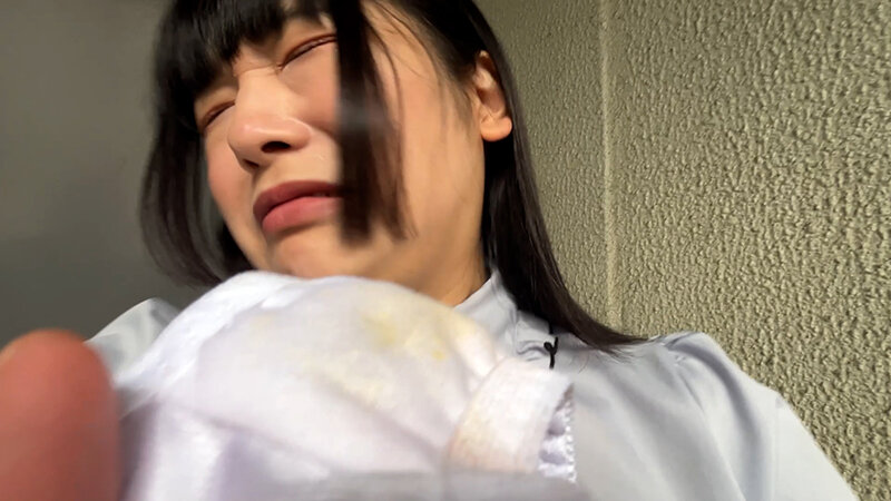 サンプル画像 17