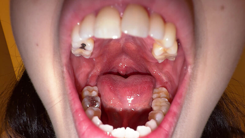 サンプル画像 3