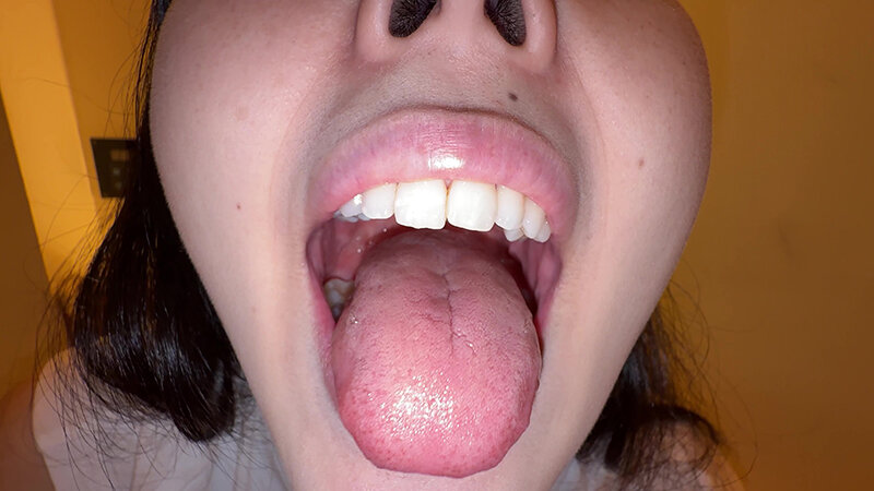 サンプル画像 5