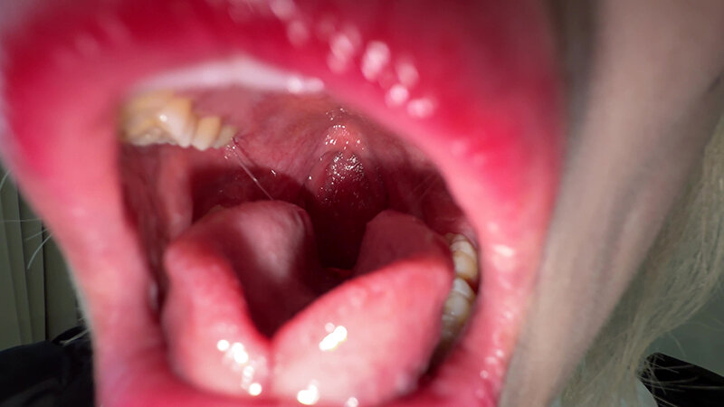 サンプル画像 6