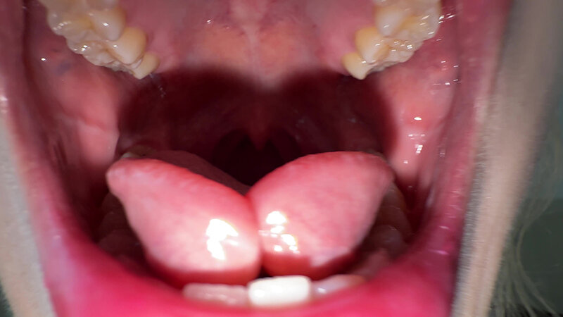 サンプル画像 8