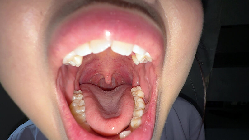 サンプル画像 5