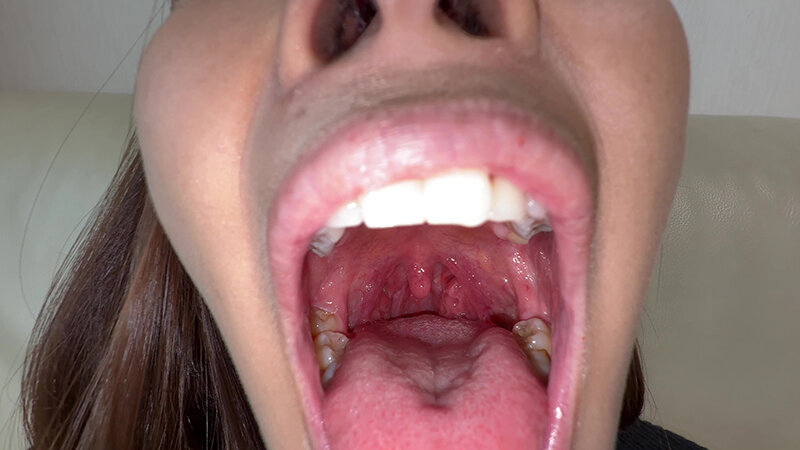 サンプル画像 8