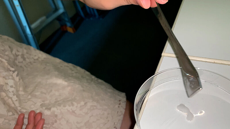 サンプル画像 11