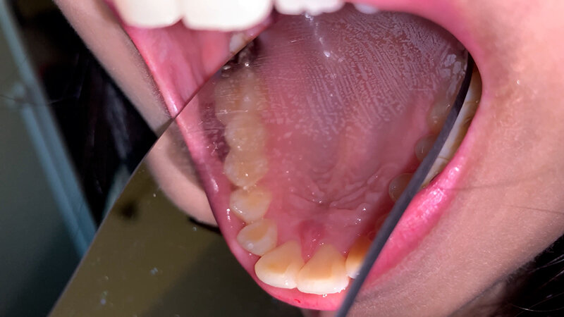 サンプル画像 6