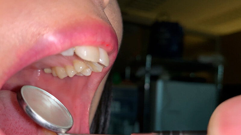 サンプル画像 8