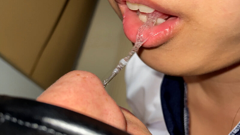 サンプル画像 11