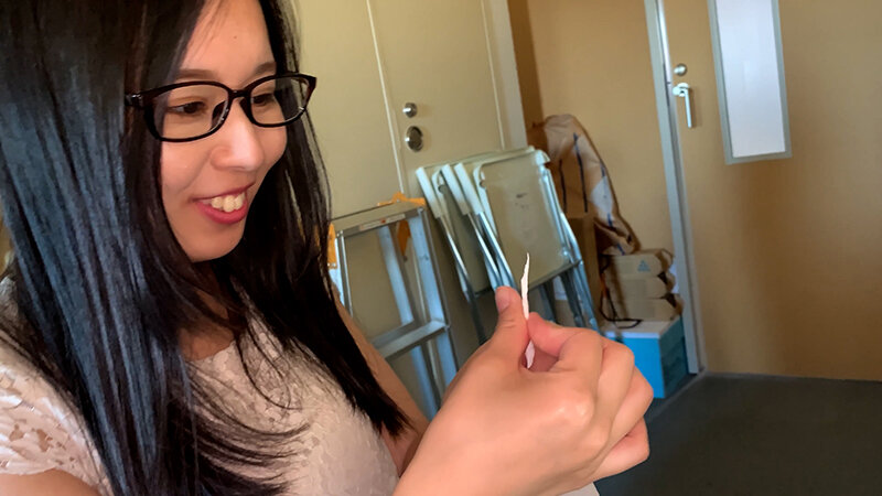 サンプル画像 5