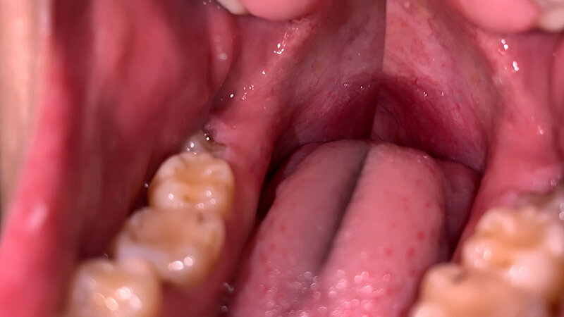 サンプル画像 6