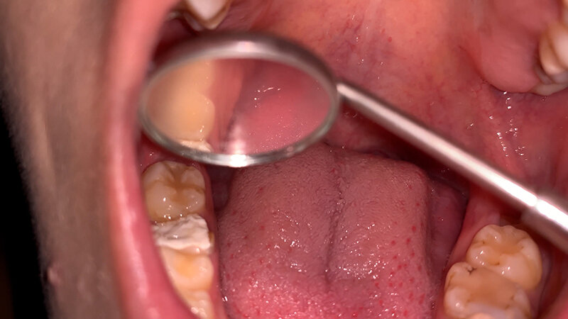サンプル画像 8