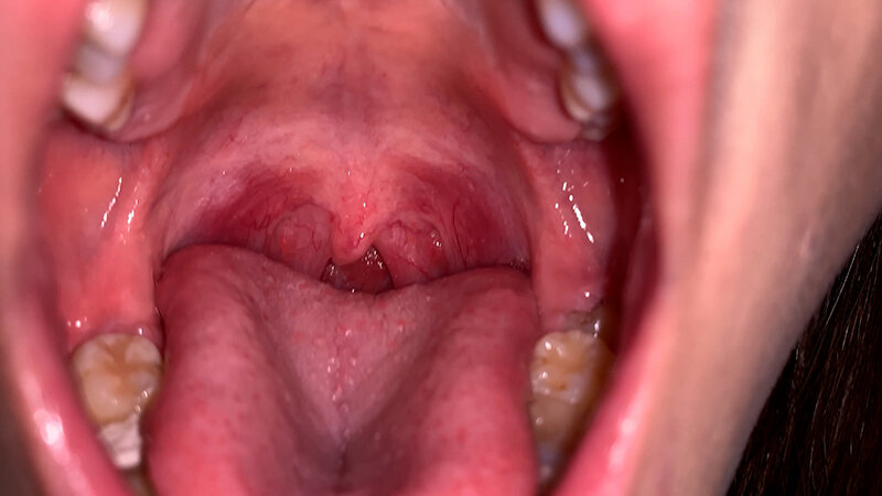 サンプル画像 6