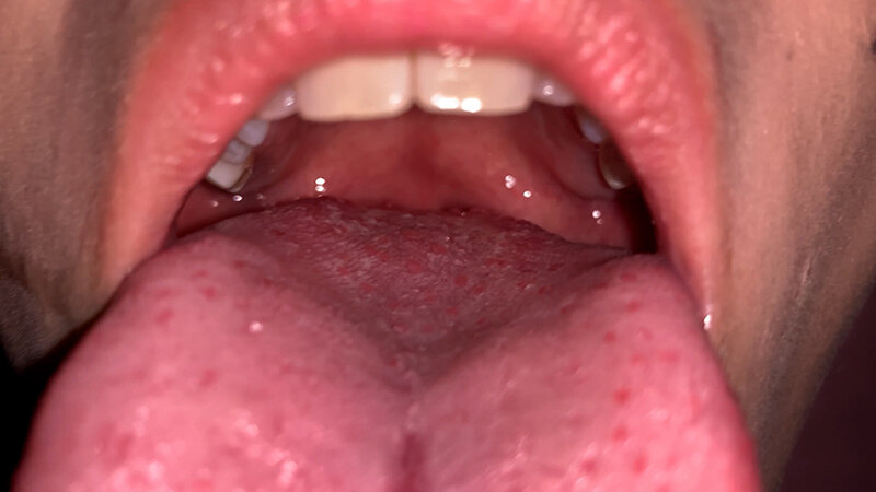 サンプル画像 13