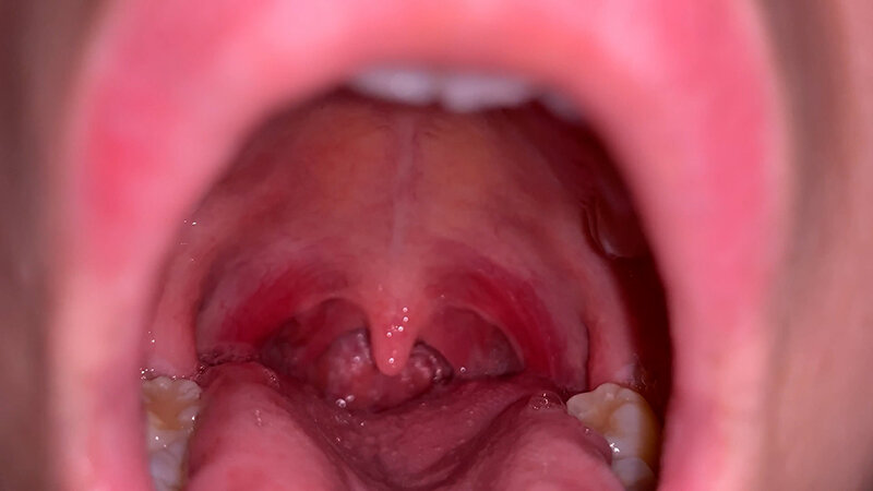 サンプル画像 8