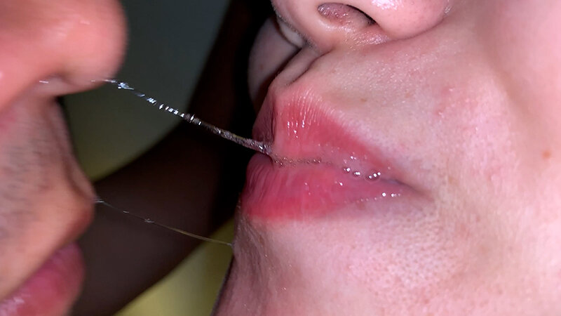 サンプル画像 8