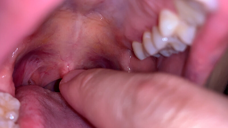 サンプル画像 7