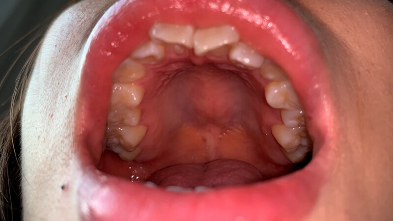 サンプル画像 5