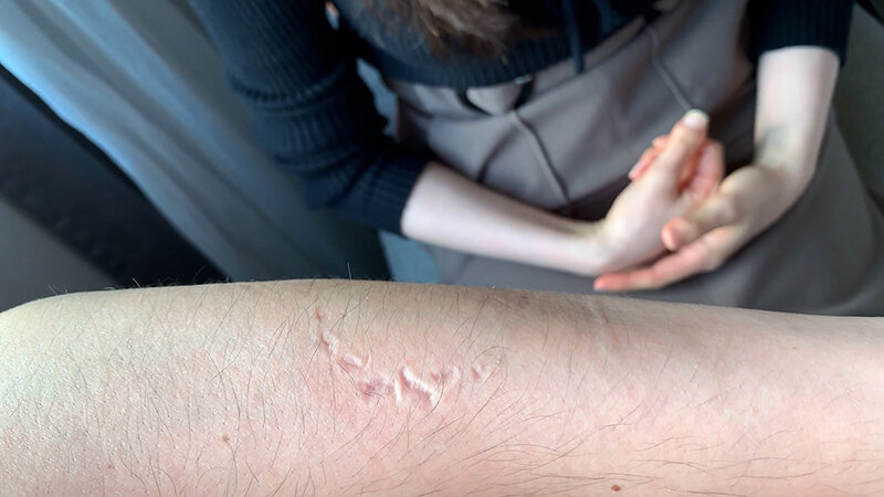 サンプル画像 8