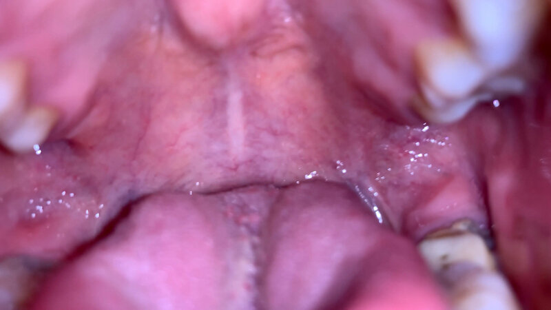 サンプル画像 9