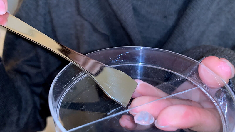 サンプル画像 13