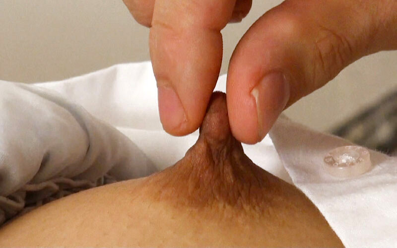 サンプル画像 11