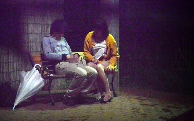 サンプル画像 13