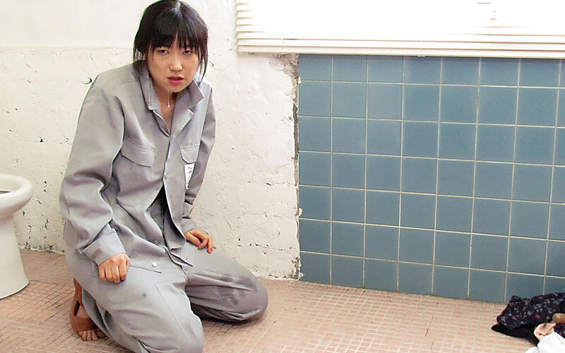 サンプル画像 11