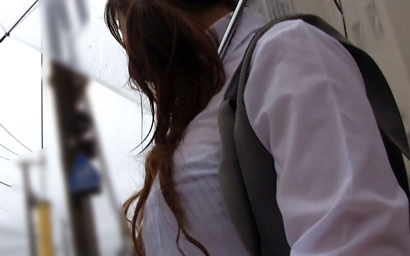 サンプル画像 11