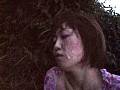 サンプル画像 19