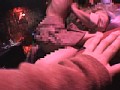 サンプル画像 31