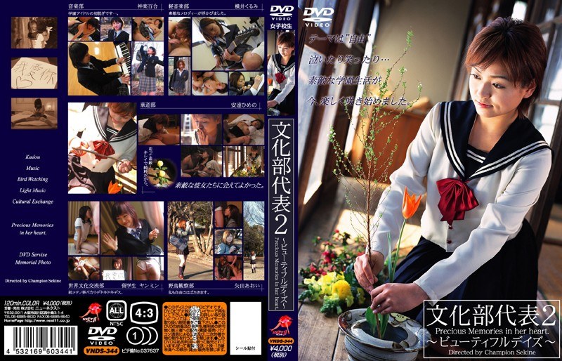 サンプルプレビュー