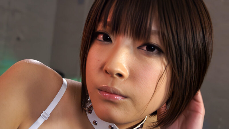 サンプル画像 3