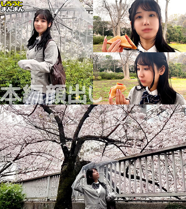 サンプル画像 5