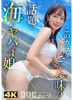 パッケージ画像