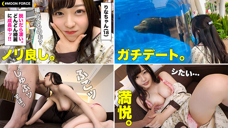 サンプル画像 12