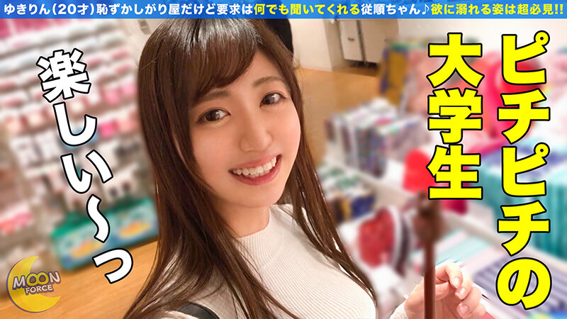 サンプル画像 12