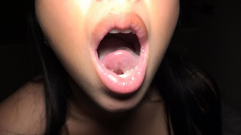 サンプル画像 15