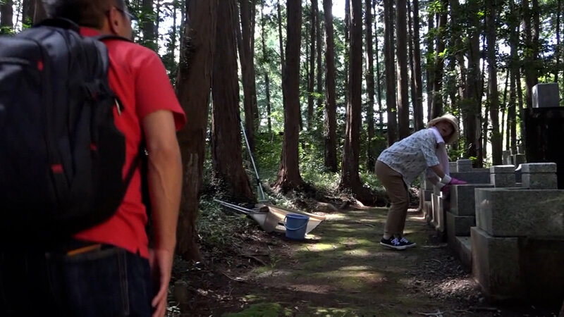 サンプル画像 2