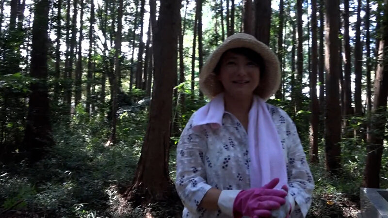 サンプル画像 3