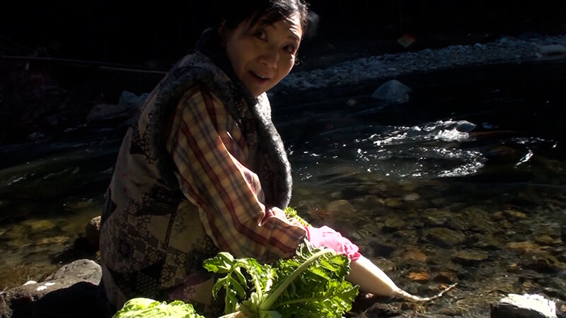 サンプル画像 2