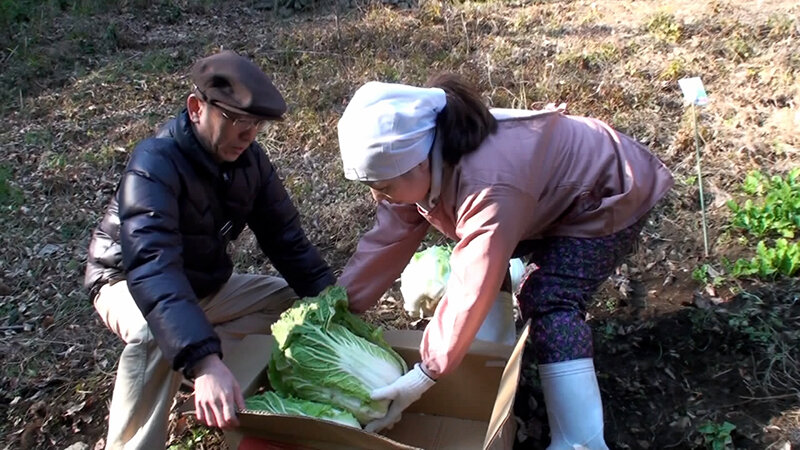 サンプル画像 4