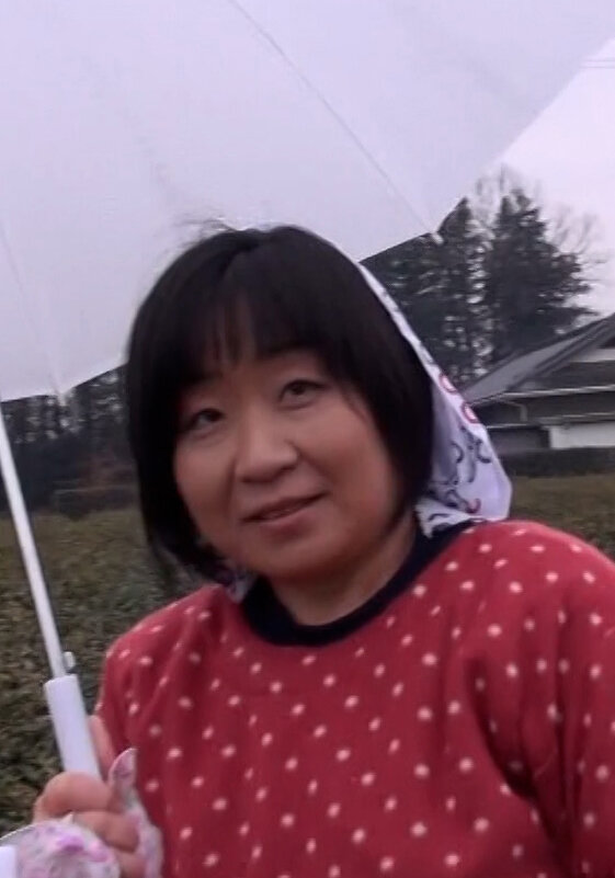 パッケージ画像