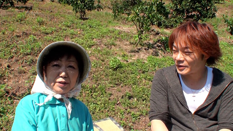 サンプル画像 2