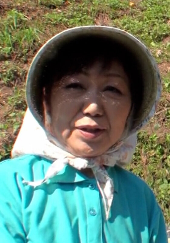 パッケージ画像