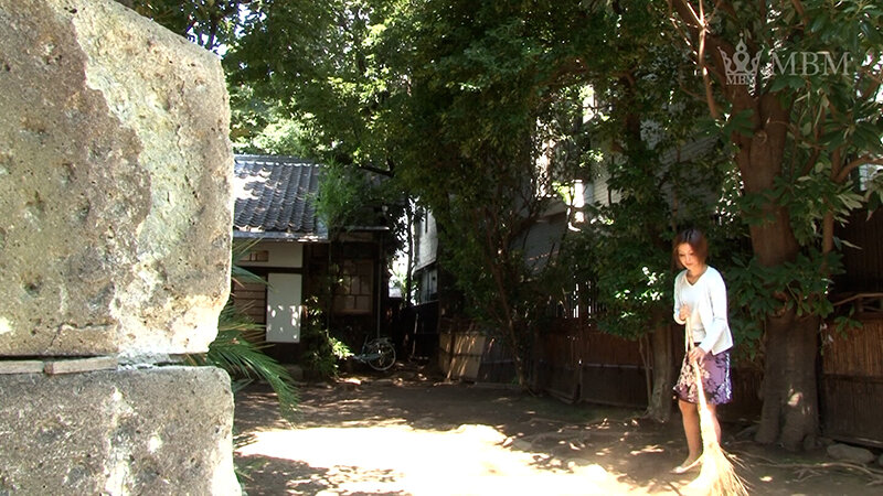 サンプル画像 15